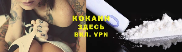мяу мяу мука Горно-Алтайск
