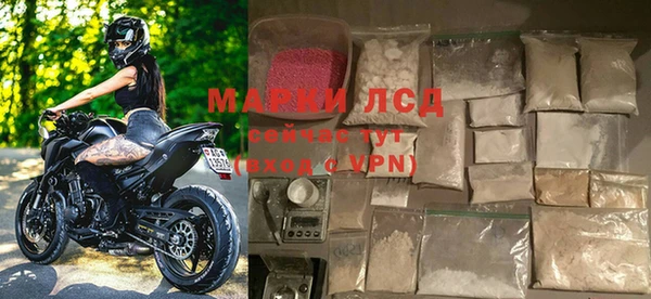 мяу мяу мука Горно-Алтайск