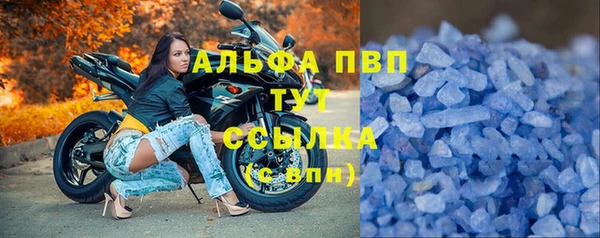 мяу мяу мука Горно-Алтайск