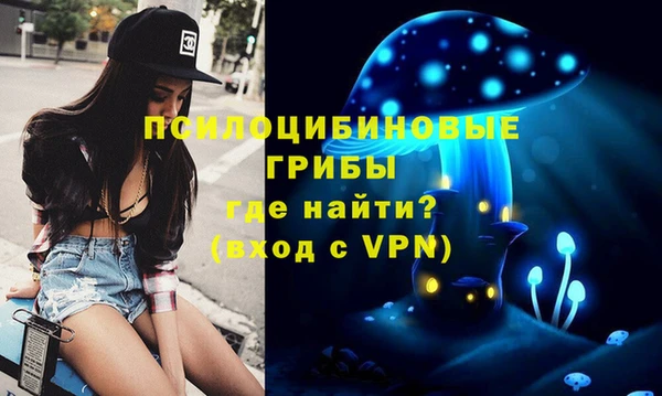 меф Горняк