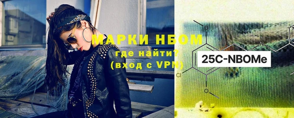 молекула духа Вяземский