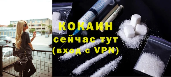 меф Горняк