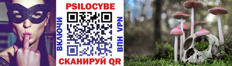 Галлюциногенные грибы Magic Shrooms блэк спрут зеркало Чекалин