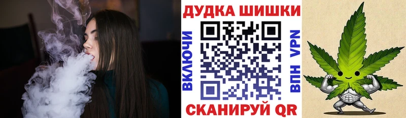 Конопля планчик  Чекалин 